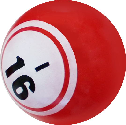 bingo-com-bingo-app3